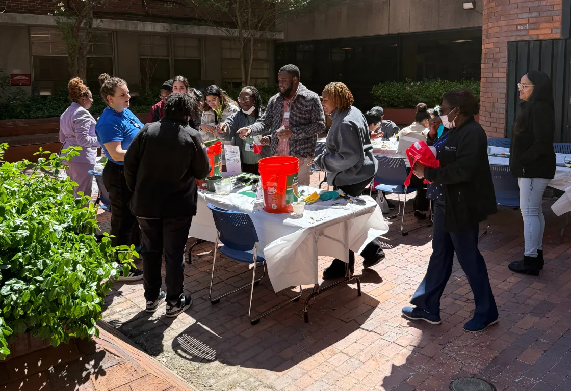 Employees and community members taking part in an outdoor planting and beautification event